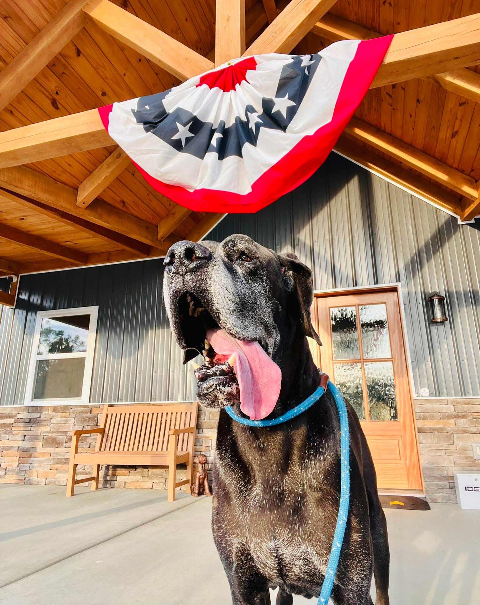 What to Expect Before, During, and After Surgery